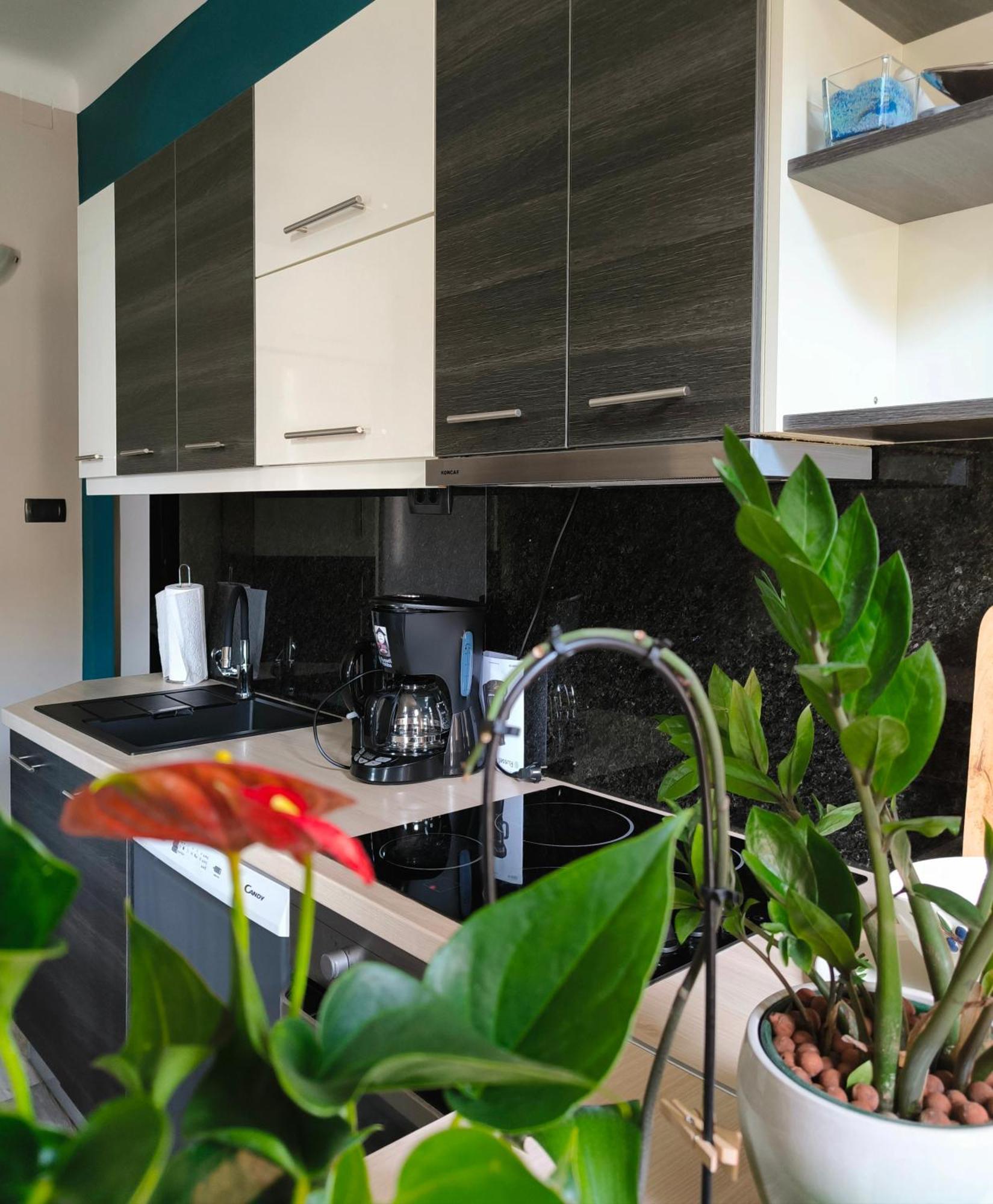 אופטיה Urban Villa Apartment מראה חיצוני תמונה